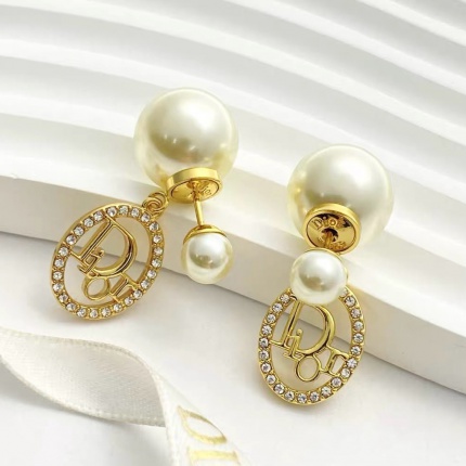 Dior Earring in 221120