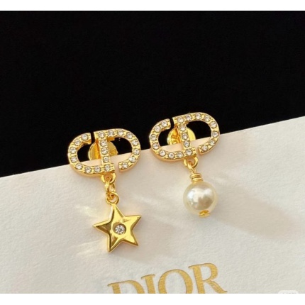 Dior Earring in 221121