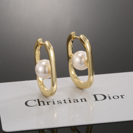 Dior Earring in 221122
