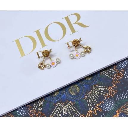 Dior Earring in 221123