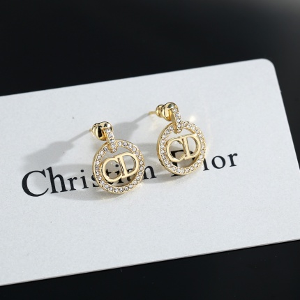 Dior Earring in 221124