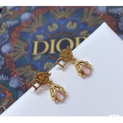 Dior Earring in 221125