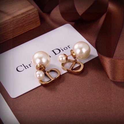 Dior Earring in 221127