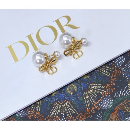 Dior Earring in 221129