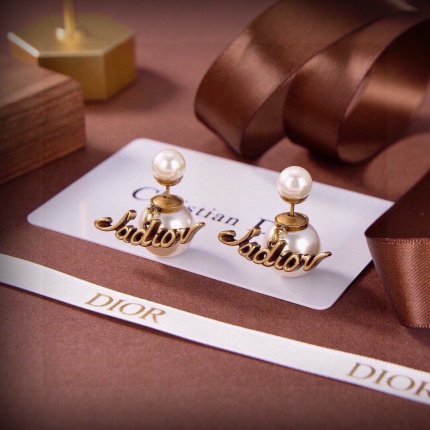 Dior Earring in 221879