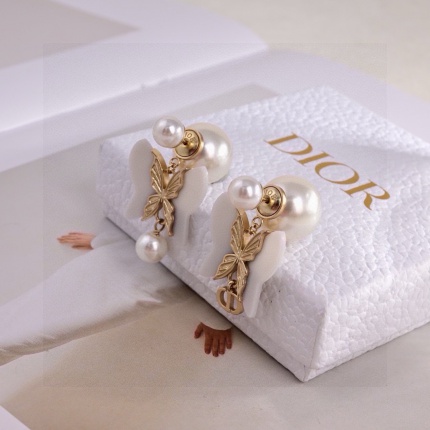 Dior Earring in 221880