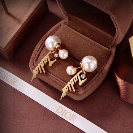 Dior Earring in 221881