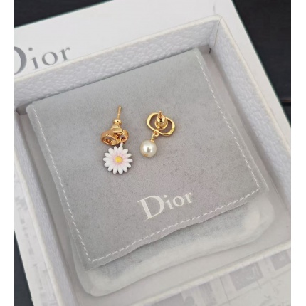 Dior Earring in 221884