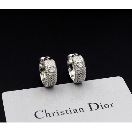 Dior Earring in 221885