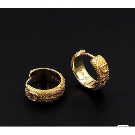 Dior Earring in 221886