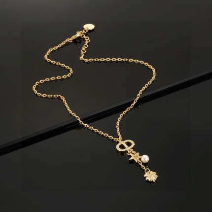 Dior Necklace in 221897