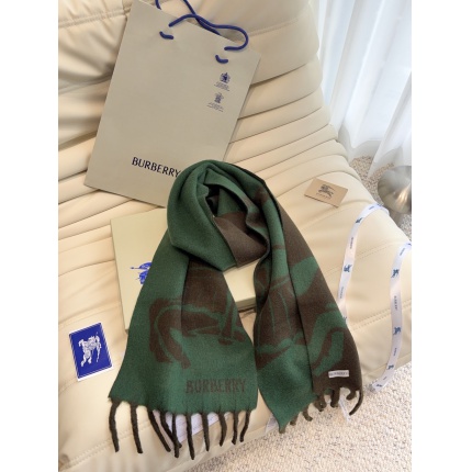 Burberry Cashmere Scarf in 222170