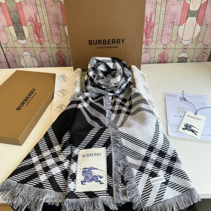 Burberry Cashmere Scarf in 222173