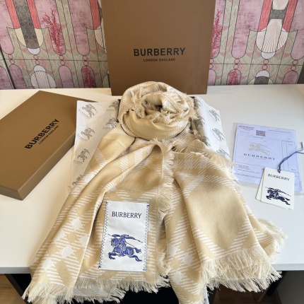 Burberry Cashmere Scarf in 222176
