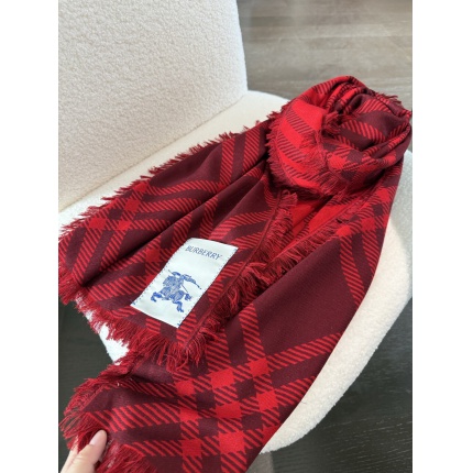 Burberry Cashmere Scarf in 222205