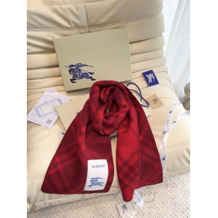 Burberry Cashmere Scarf in 222217