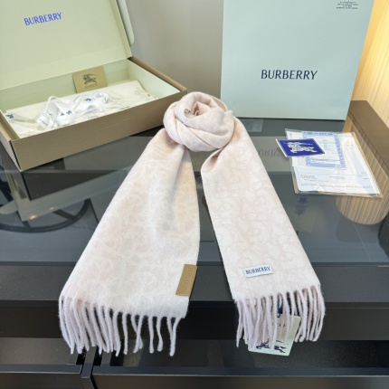Burberry Cashmere Scarf in 222248
