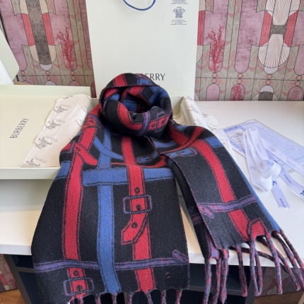 Burberry Cashmere Scarf in 222288