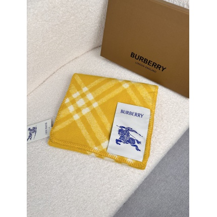 Burberry Cashmere Scarf in 222302