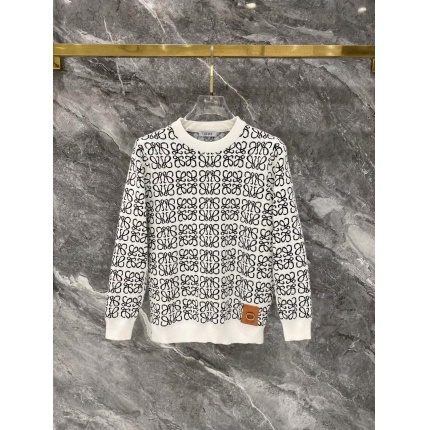 Loewe Sweaters in 223070