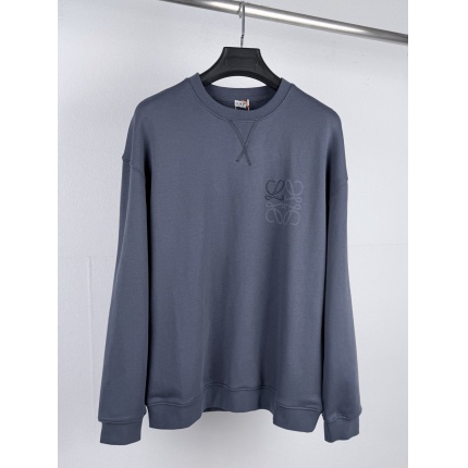 Loewe Hoodies in 223072