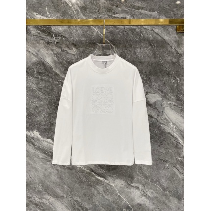Loewe Hoodies in 223077