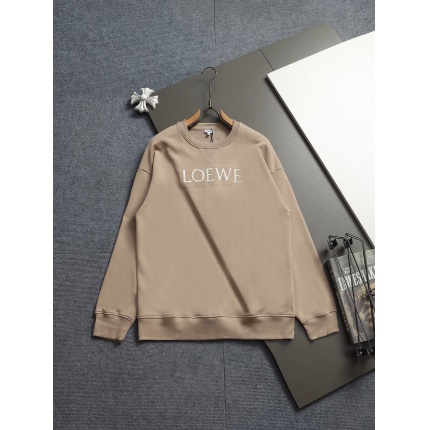 Loewe Hoodies in 223081