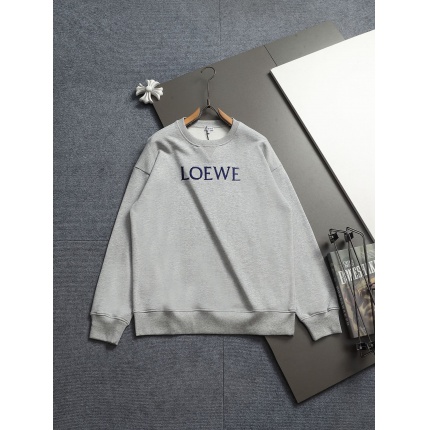Loewe Hoodies in 223082