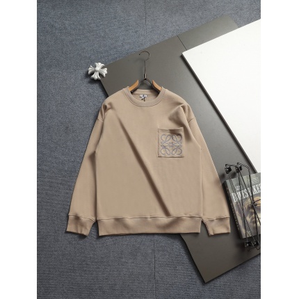 Loewe Hoodies in 223084