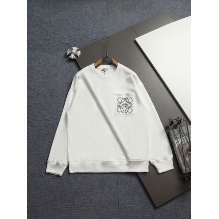 Loewe Hoodies in 223085