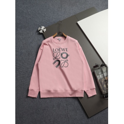 Loewe Hoodies in 223087
