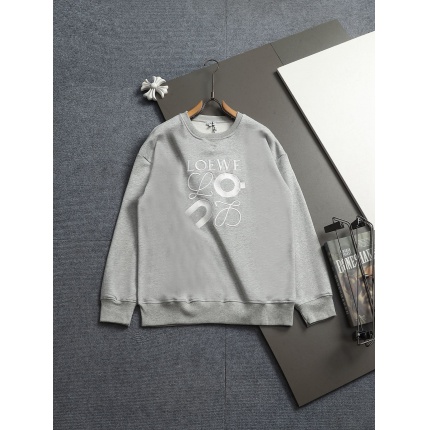 Loewe Hoodies in 223088