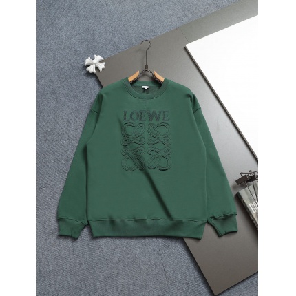 Loewe Hoodies in 223093