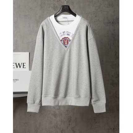 Loewe Hoodies in 223095