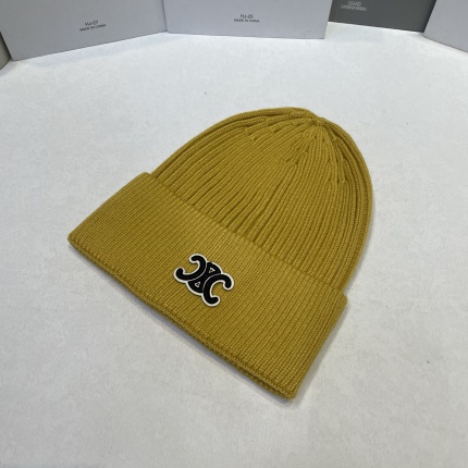 Celine Hats in 224332