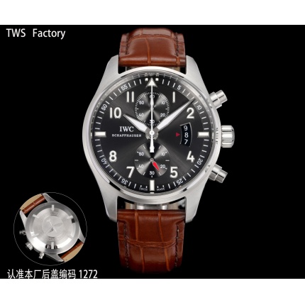 IWC AAA Quality Watches in 224869