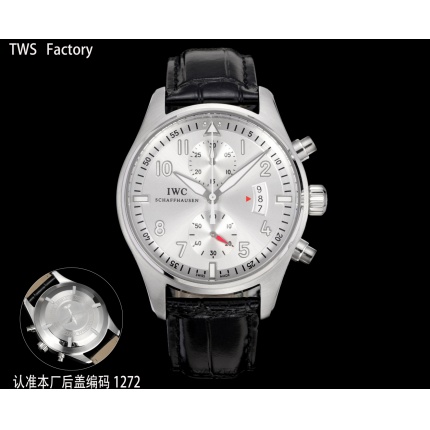 IWC AAA Quality Watches in 224870