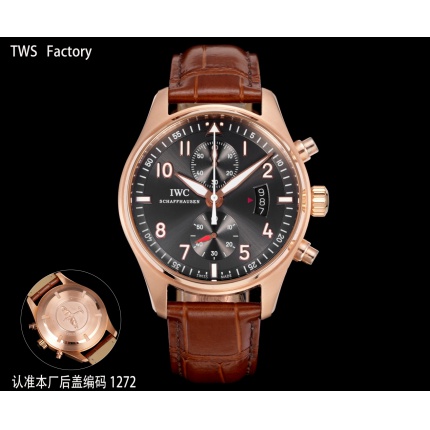 IWC AAA Quality Watches in 224871