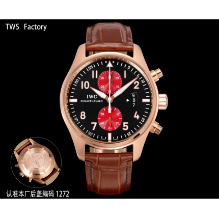 IWC AAA Quality Watches in 224872