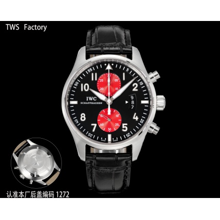 IWC AAA Quality Watches in 224873