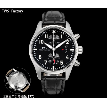 IWC AAA Quality Watches in 224874