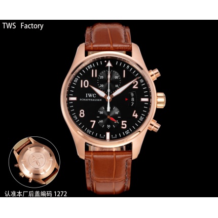 IWC AAA Quality Watches in 224876