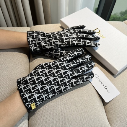 New Dior Gloves in 224945