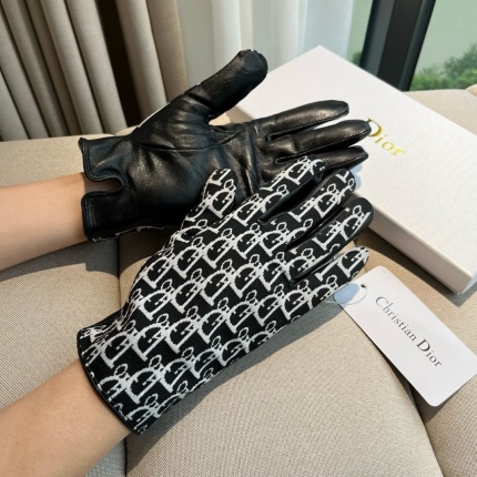 New Dior Gloves in 224947