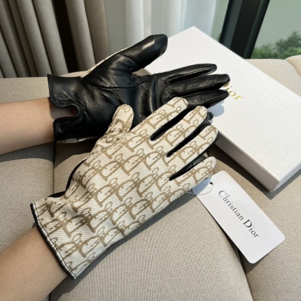 New Dior Gloves in 224949