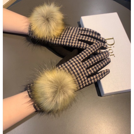 New Dior Gloves in 224950