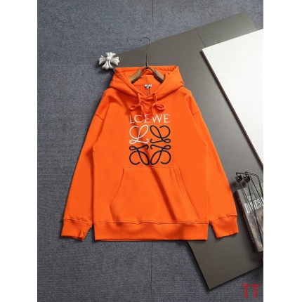 Loewe Hoodies in 225180