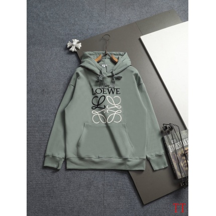 Loewe Hoodies in 225181