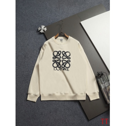 Loewe Hoodies in 225184