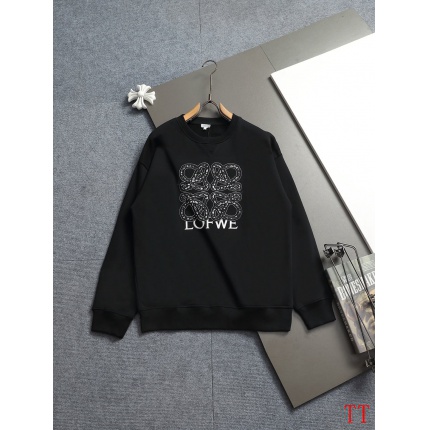 Loewe Hoodies in 225185